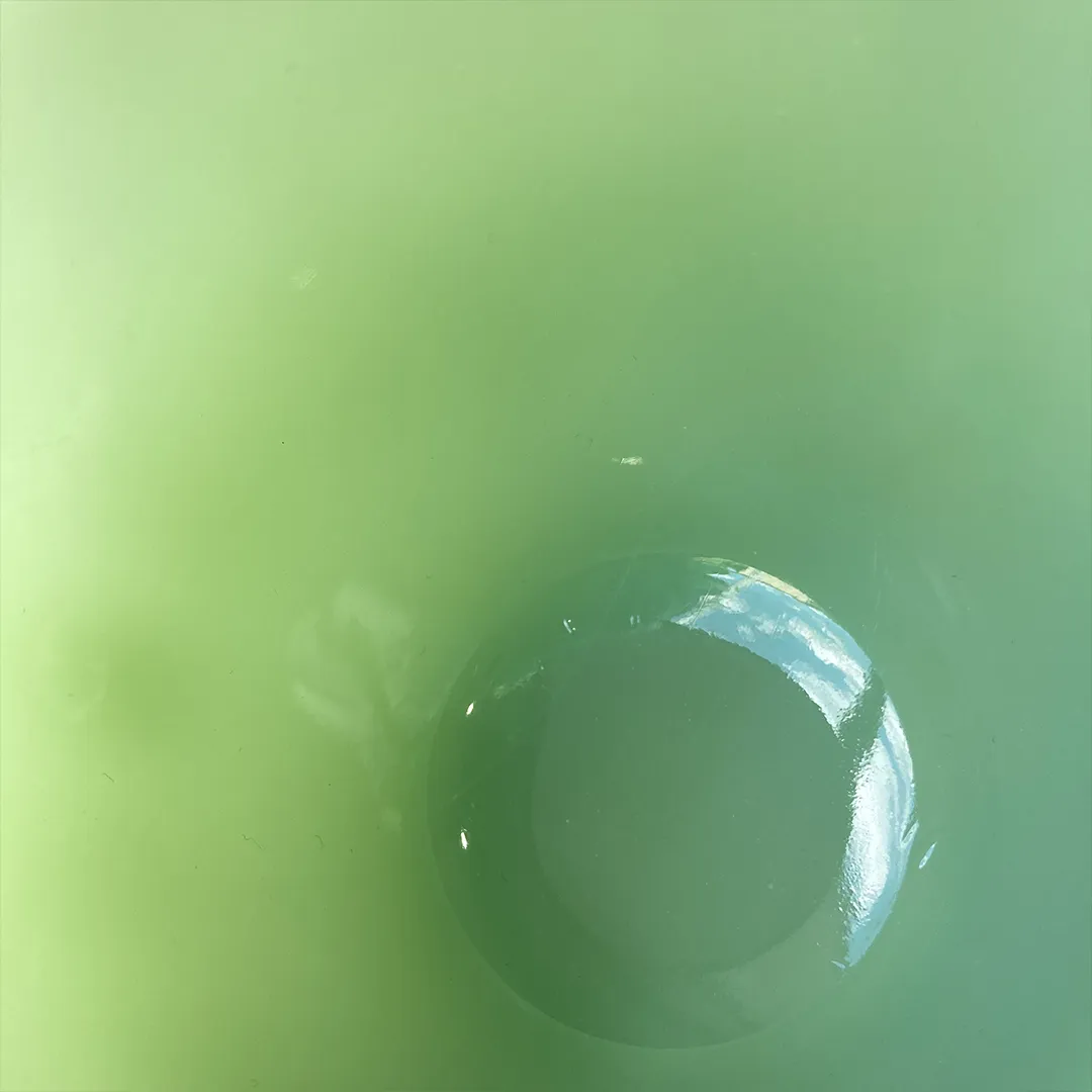 ȥǥ˥