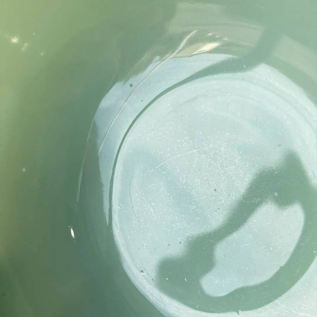 Fire-kingӡǥåɥåܥ