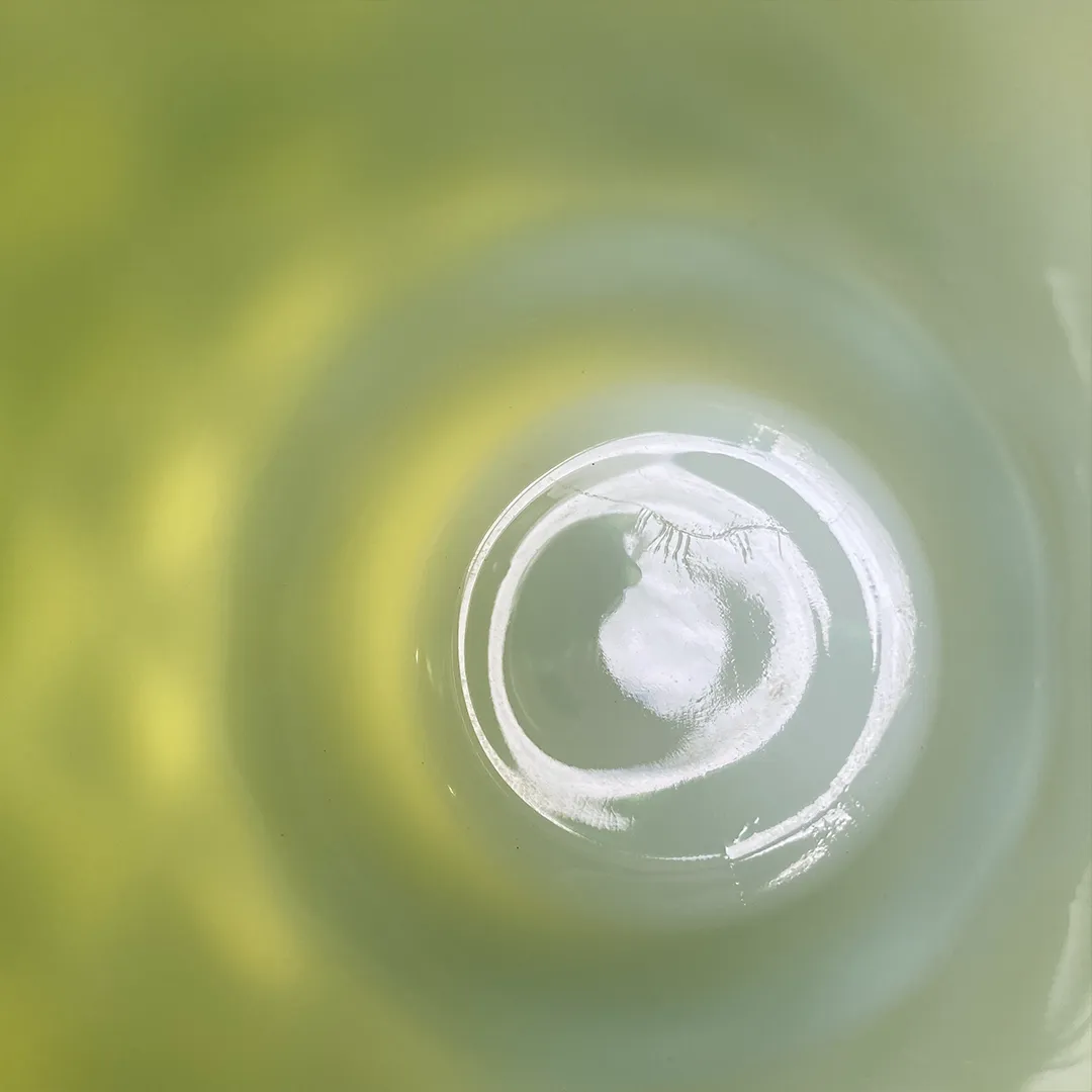 キンバリーマグ